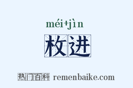 枚进是什么意思的图片
